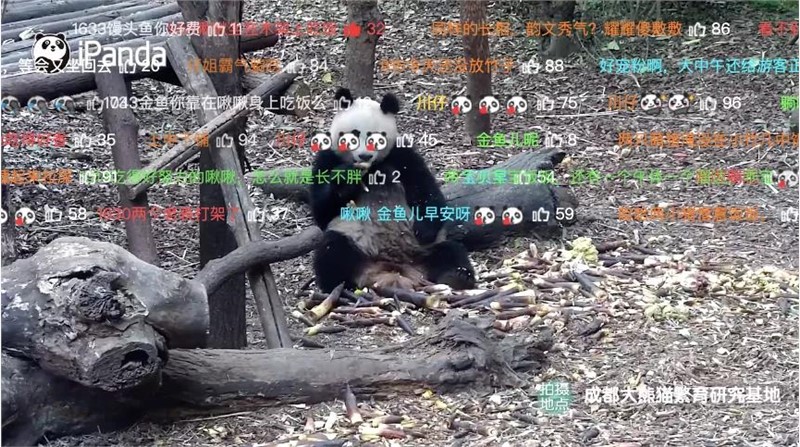 圖片