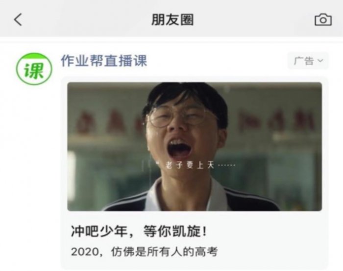 鳥哥筆記,活動運營,野生的獨孤菌,目標用戶,總結,案例分析,案例