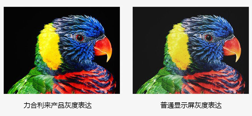 P1.5小間距l(xiāng)ed顯示屏 P1.5小間距l(xiāng)ed顯示屏
