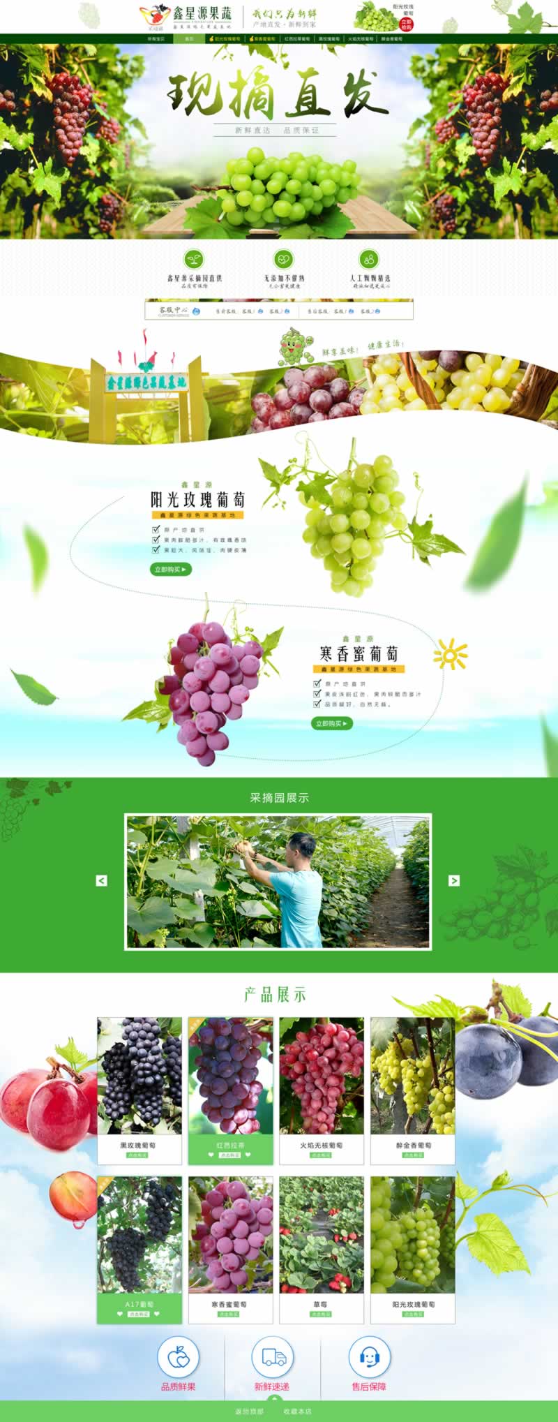 鑫星源果蔬水果蔬菜生鮮網(wǎng)店裝修
